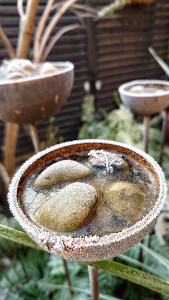 Frozen cup of water with stones, the garden visible in the background 