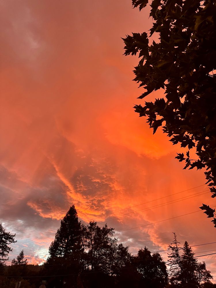 Orange rays of light and mashed potato textured clouds drift over the sharp points of trees in the skyline, thankfully the orange of sunset and precipitation this time and not wildfires