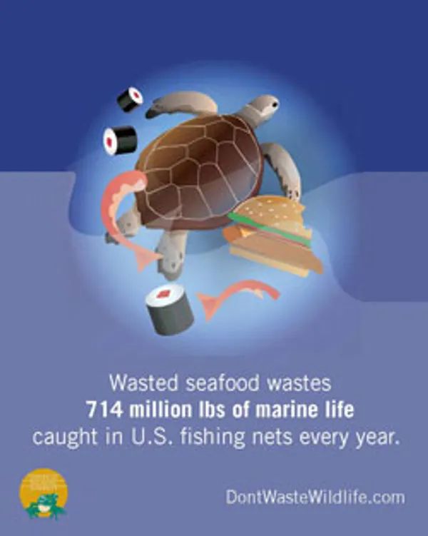 Graphic of a sea turtle swimming amidst sushi rolls and burgers and sealife treated as food waste, with a website link DontWasteWildlife.com. 