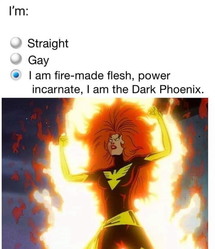 Caption says are you straight, gay, or fire made flesh, power incarnate, I am Dark Phoenix. Picture of Dark Phoenix glowing with power, fists raised and ready to destroy. 