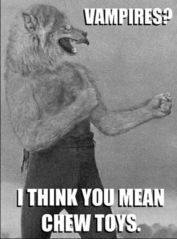 Old style meme of black and white image of boxer but they are a werewolf and the text says: "Vampires? I think you mean chew toys"