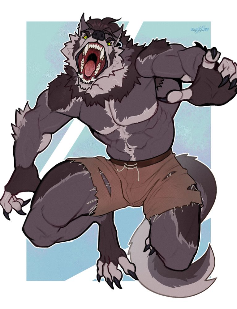 Drawing of a werewolf with grey and white fur snarling wearing torn brown pants and in a jumping position towards the viewer