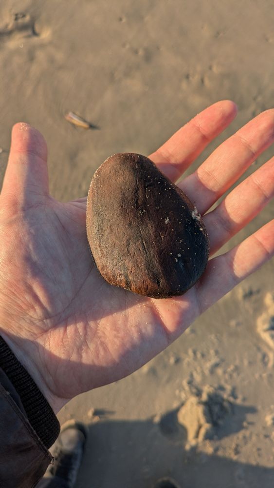 Ik houd een stuk hout vast dat aangespoeld is. De zee en het zand hebben het hout rond gesleten 