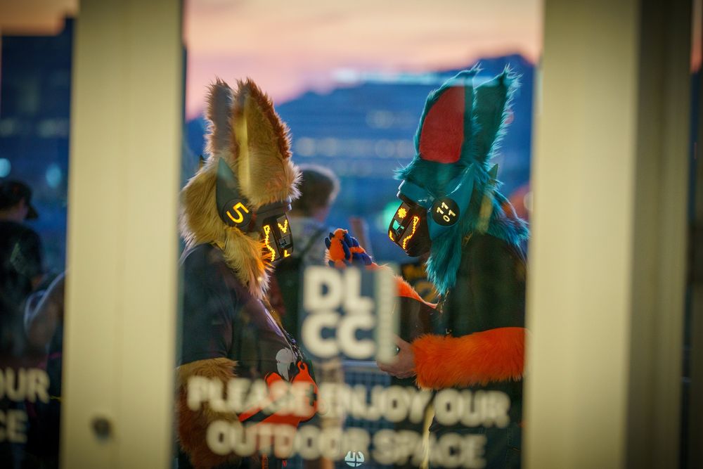 Anthrocon 2025 photo by SirDrewTheFree