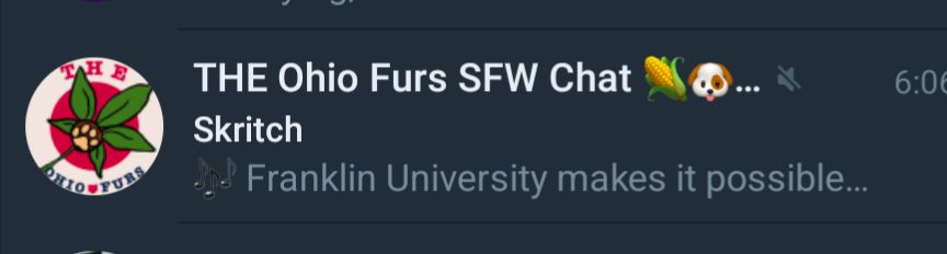 someone posts "🎶 Franklin University makes it possible" in THE Ohio Furs SFW Chat