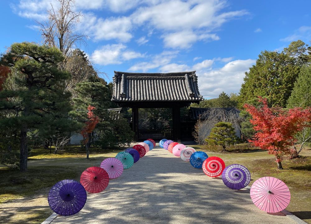 薬医門
和傘が飾られます