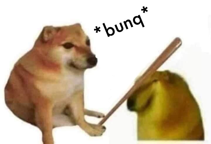 Bonk meme mit dem Wort „Bunq“  