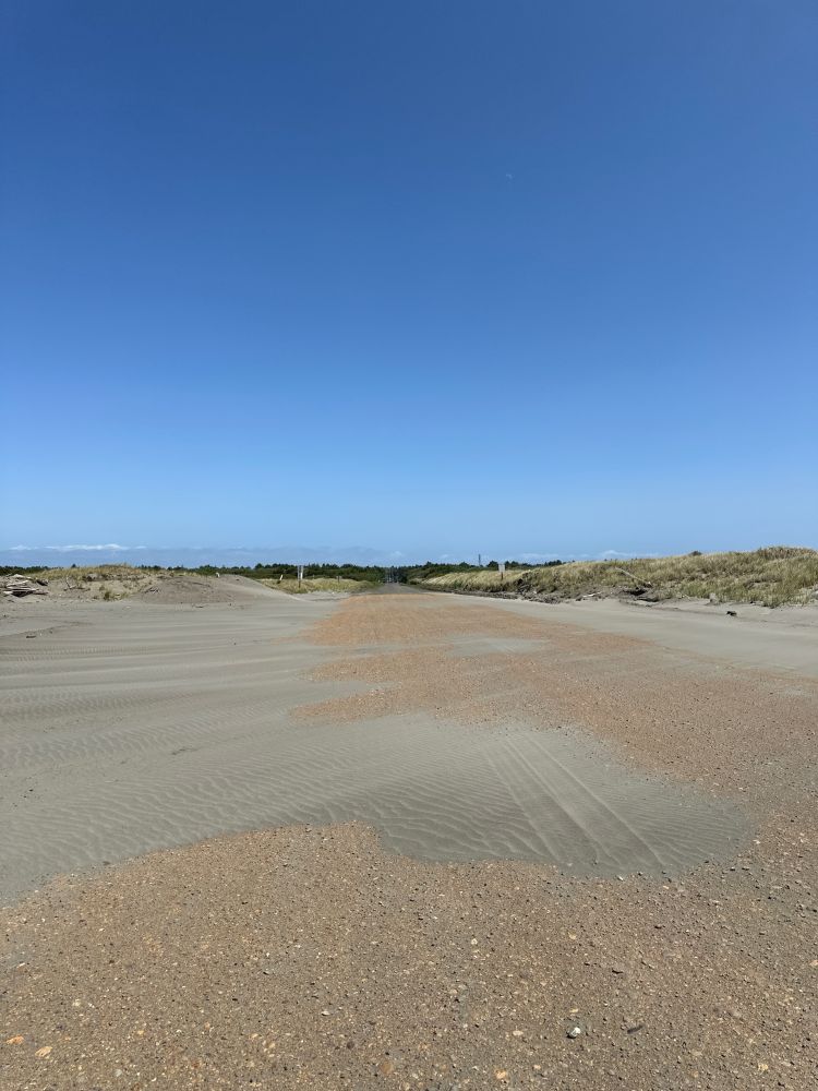 sandy windswept road with green trees far ahead and a clear blue sky