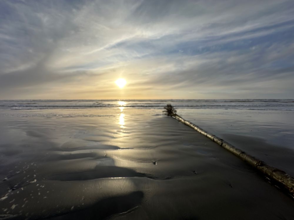 photo of a beach nearing sunset with calm waves, wet sand, and a driftwood log. 