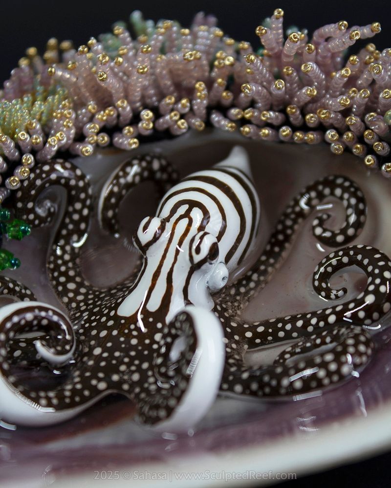 A mixed media artwork featuring a hand sculpted octopus and corals patiently crafted from tiny glass beads.

The octopus on this piece depicts the species Larger Pacific Striped Octopus, a dark brown and white octopus with an iconic bar stripe spot pattern.

The corals are pink, green and a muted purple.

Everything is built around a large violet colored clam shell.