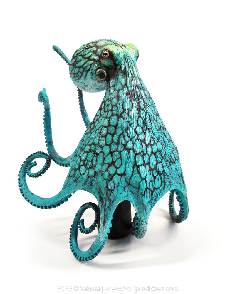 A vibrant Caribbean Reef Octopus sculpture, leaning on a subtle black base. 

"Aurora" is a hand sculpted, highly detailed octopus sculpture made from clay and painted with acrylics.

She is textured in appearance, with intricate bluish green paint work, overlaid with a dark maroon webbed pattern.

Each of the octopus's arms are fully detailed with two neat rows of carefully sculpted suckers.