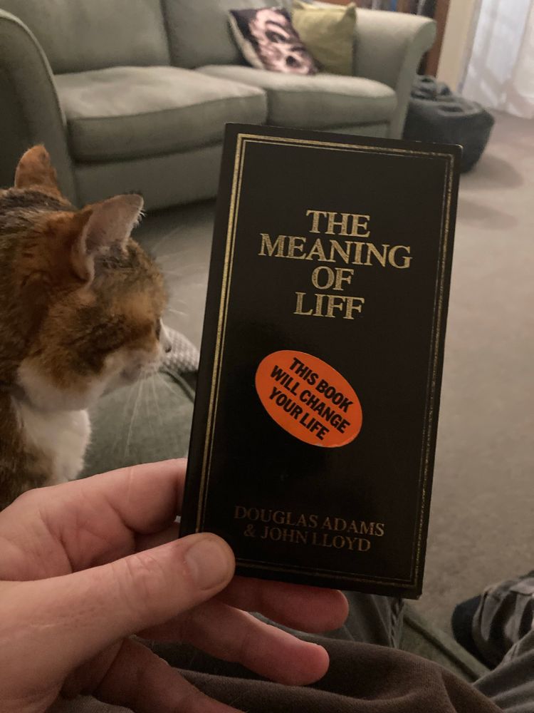 The front cover of The Meaning of Liff by Douglas Adams and John Lloyd. 