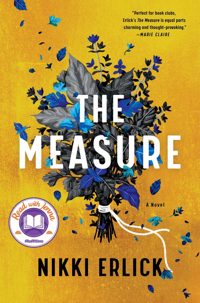The Measure by Nikki Erlick 