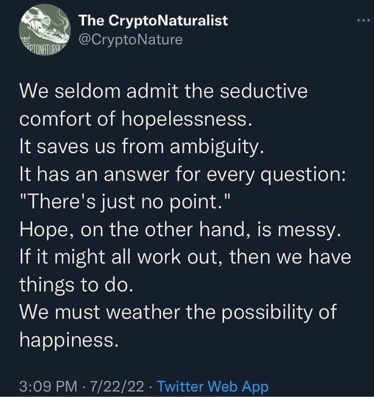 Post from The CryptoNaturalist dated 7/22/22

We seldom admit the seductive comfort of hopelessness. 
It saves us from ambiguity.
It has an answer for every question: 
"There's just no point."
Hope, on the other hand, is messy.
If it might all work out, then we have things to do.
We must weather the possibility of happiness.