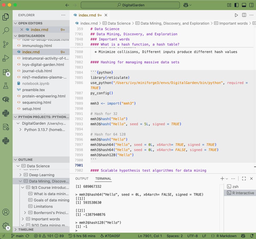 VSCode IDE with and .rmd markdownfile using Python packages with reticulate