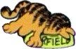 garfield fall flat in food bowl
