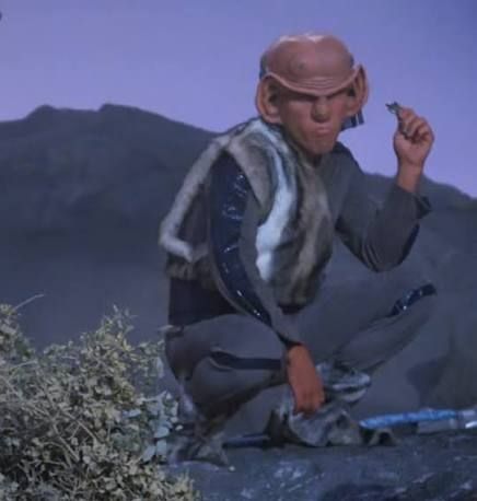Armin Shimerman as a regrettable Next Gen ferengi