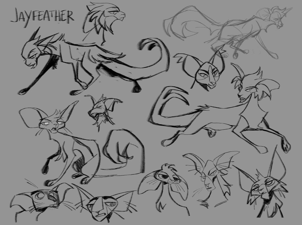 A sketch page of several design variations on the character Jayfeather