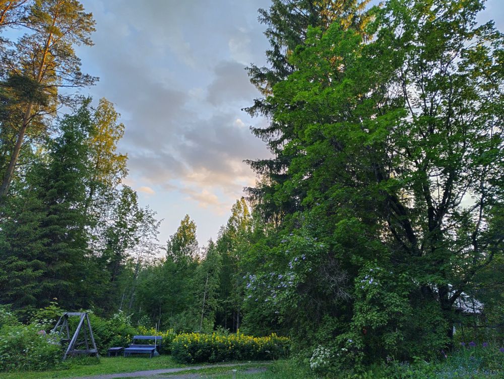 The yard of an old farmhouse. There are trees and flowers, and everything is green. it is still light at half past ten at night.