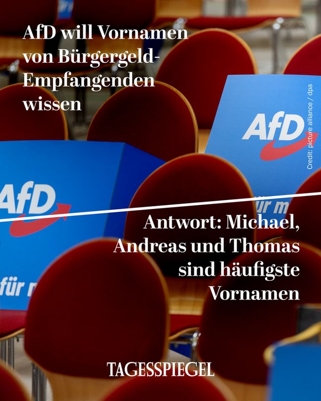 Schilder mit AfD-Logo stehen auf leeren Stühlen. Symbolfoto. AfD fragt Namen von Bürgergeldempfängern ab: Michael, Andreas und Thomas führen die Liste der häufigsten Vornamen an