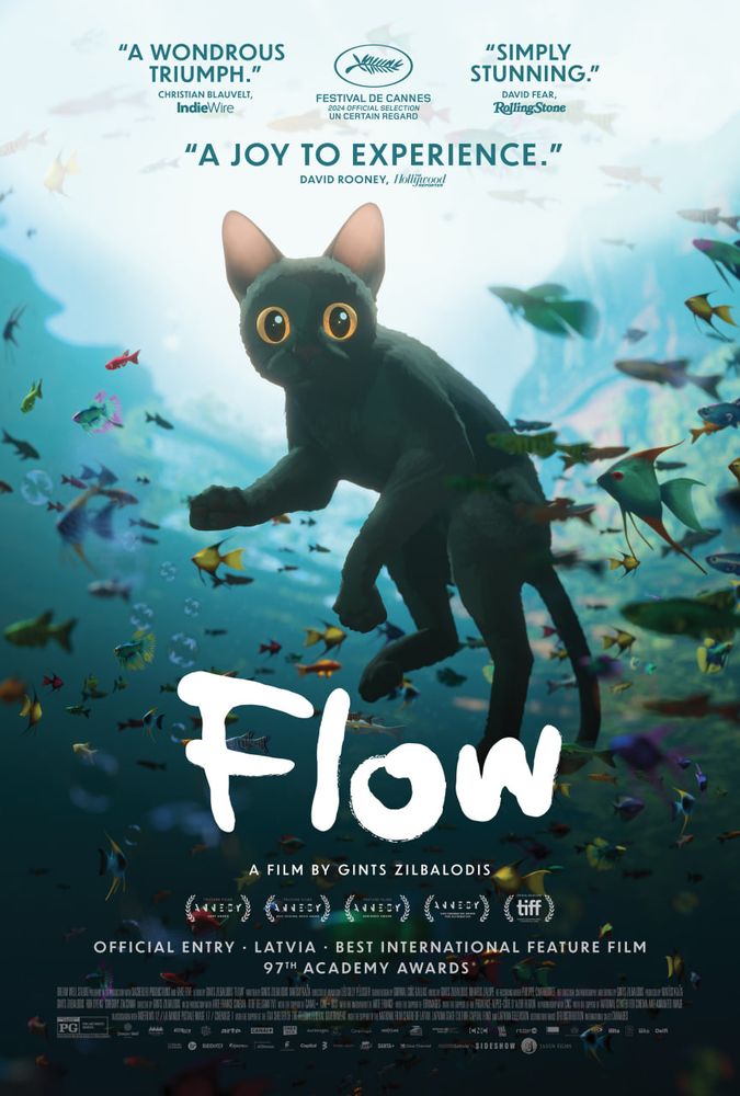 A black cat swimming underwater surrounded by colorful fish
