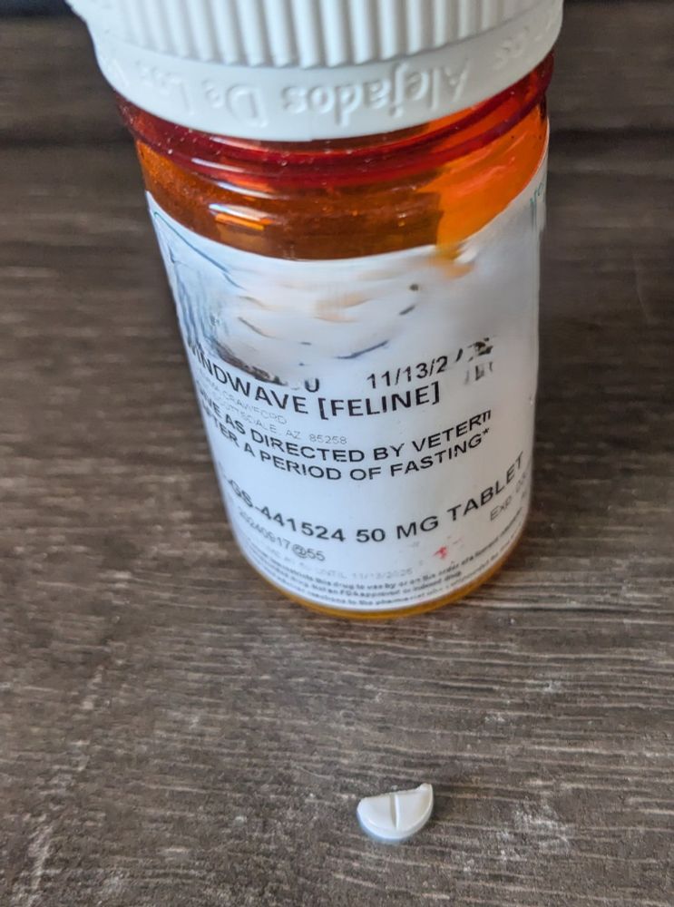 prescription bottle of medication for "WindWave [feline]" and half a white pill