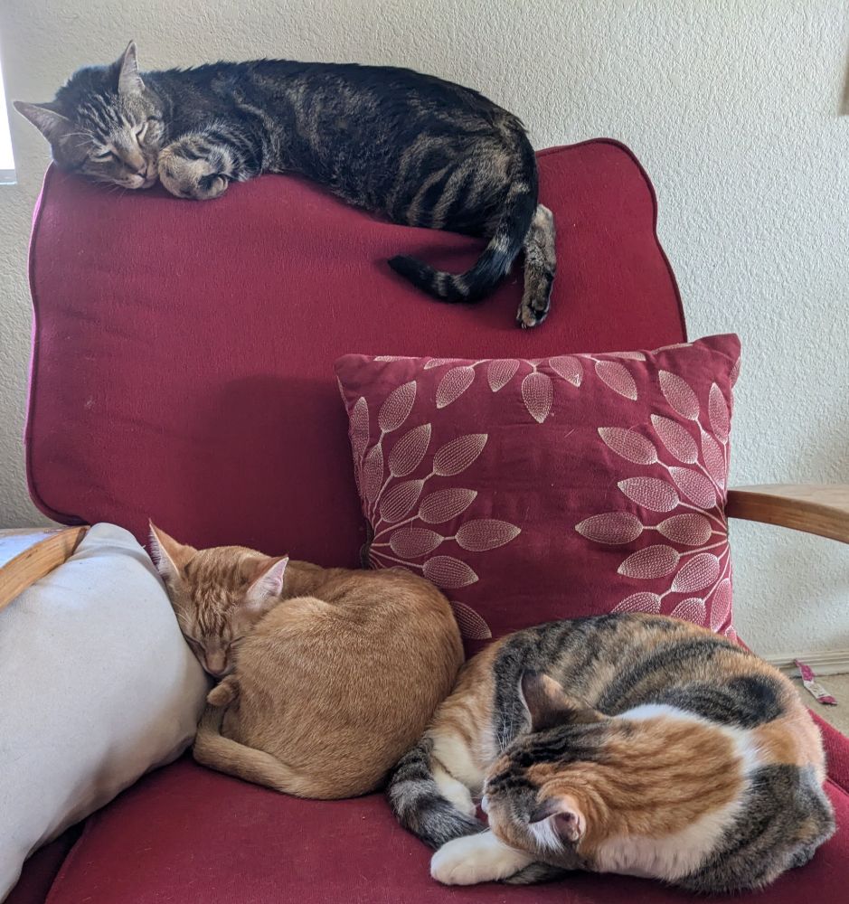 three cats sleeping on a red chair; one on the top of the back, two in the seat