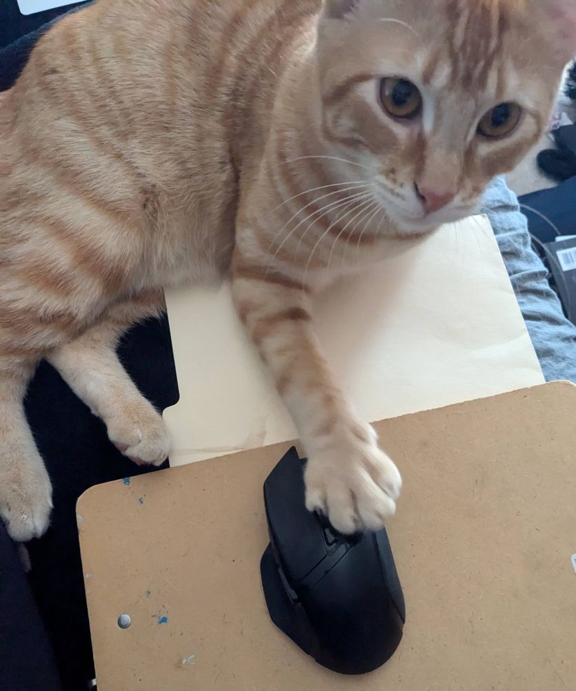 Ginger tabby with his paw on a computer mouse
