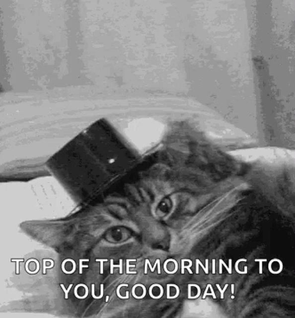 a cat wearing a top hat is laying on a bed with the words `` top of the morning to you , good day '' .