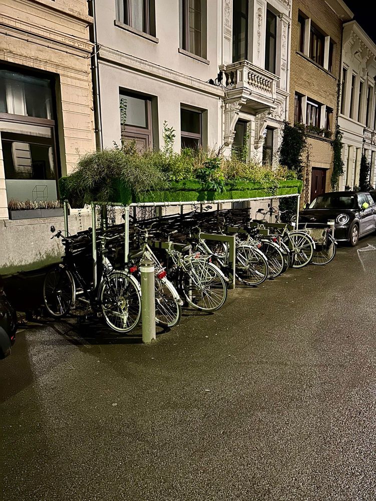 Blick auf überdachte Fahrradbügel am Straßenrand in Antwerpen. Das Dach ist dazu üppig mit Pflanzen begrünt.