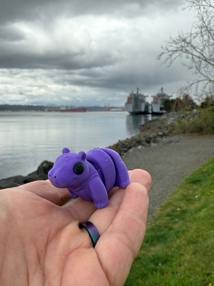 Cute AF Purple 3D printed and articulated Moo Deng model in front of some Navy ships. 