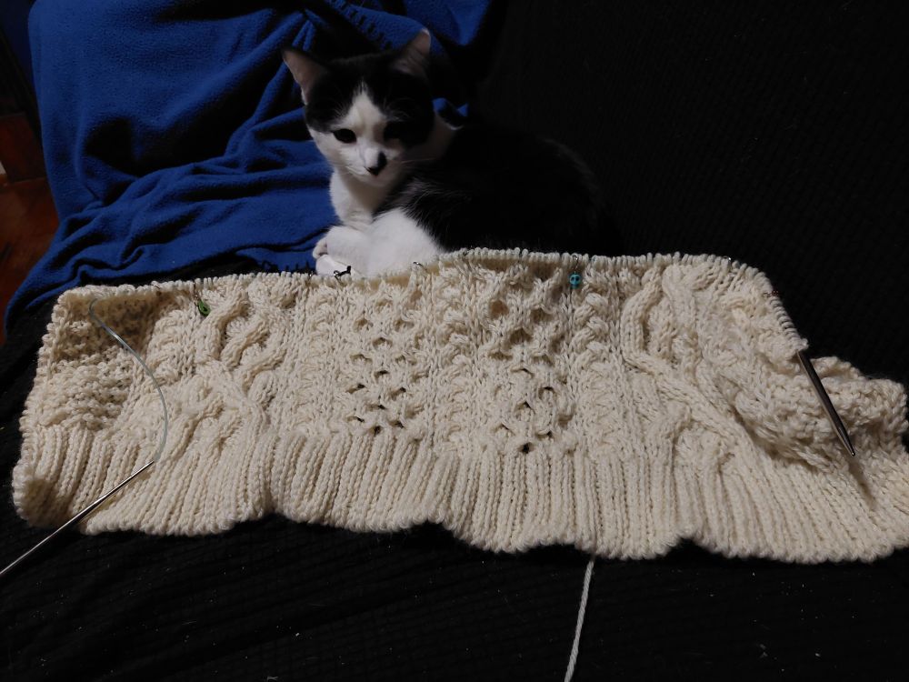 An off white knitted rectangle with nine clearly visible panels.  The first is a basket stitch and the others are a small cable, then a winding larger cable, the same small again, then a sort of bubble looking cable, small again,  bubble again, small again, then winding again. All with a cow pattern kitten behind and under it, looking on mildly confused