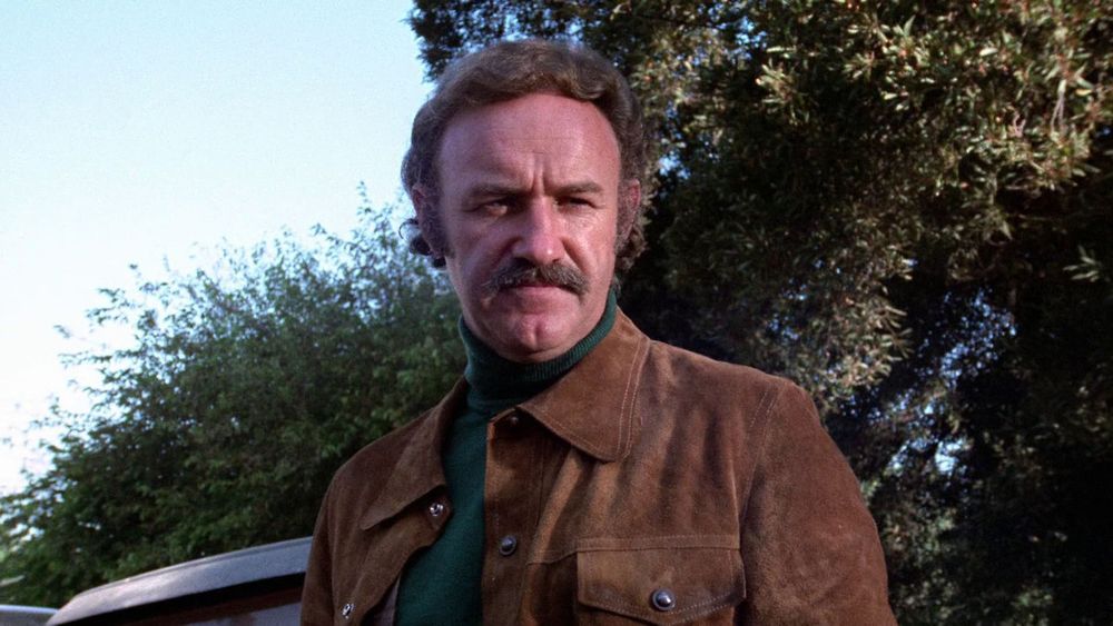 A ★★★ review of Night Moves (1975)