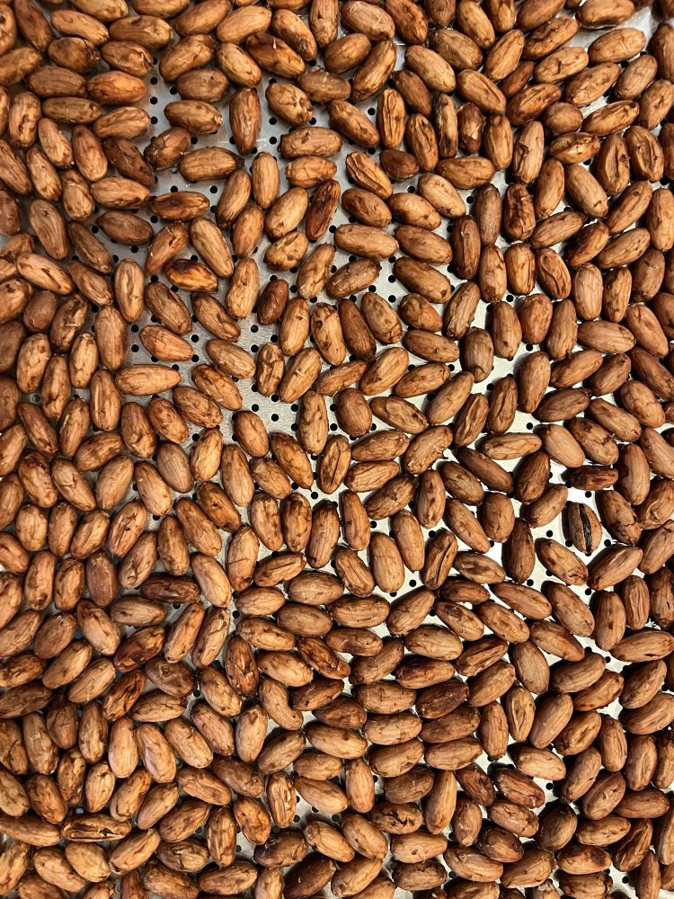 This photo shows an aluminum roasting tray filled with a layer of cacao beans. When roasting, the aroma of the fermentation suddenly gives way to the overwhelming joy of fresh brownies. Yes, there is a spirit watching over us all. 