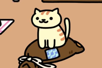 Apricot sitting on the Hot Water Bottle. They are looking off to the side. Apricots personality is Slacker, hence the joke in the post. 