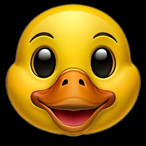 Comment image