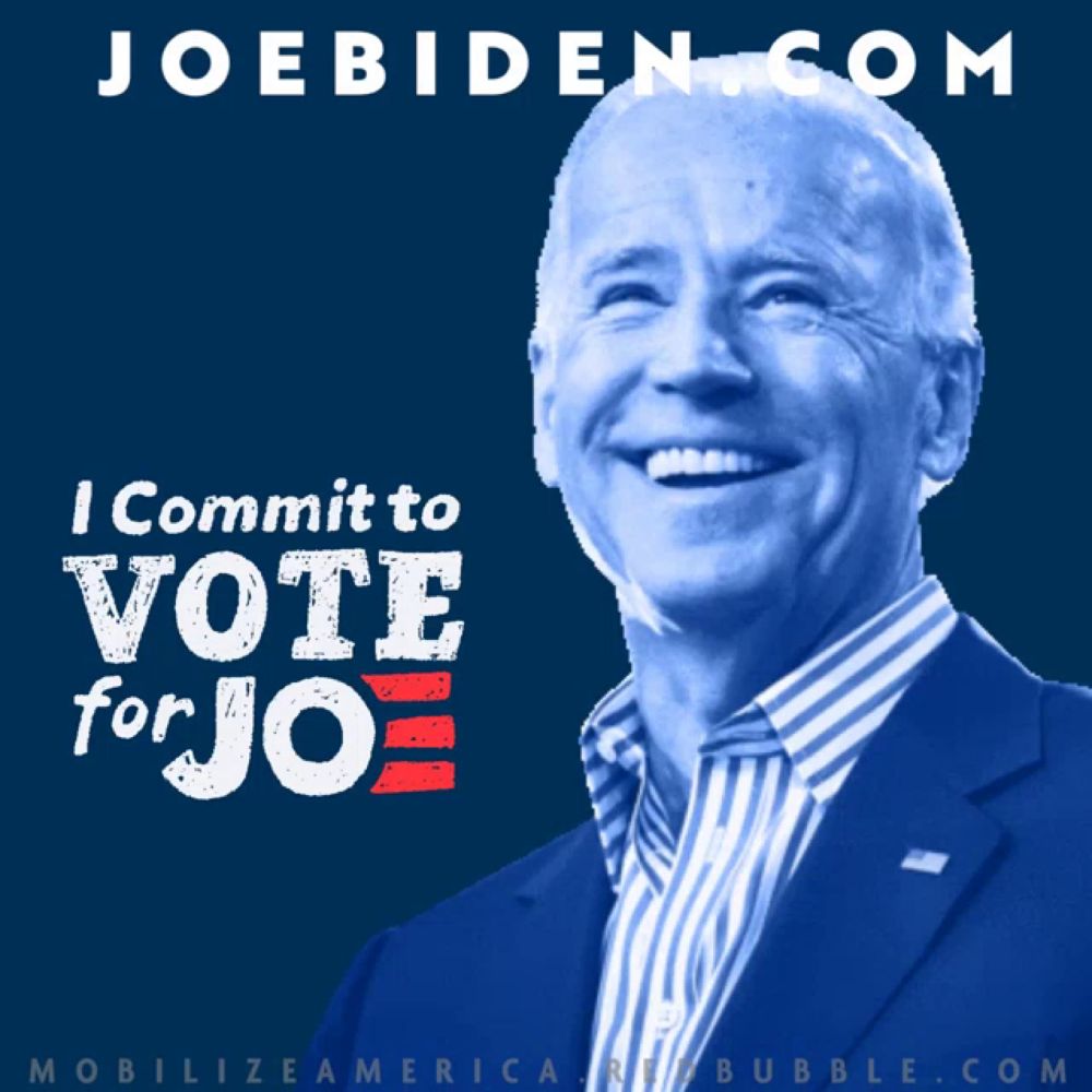 Joe Biden Biden2020 GIF