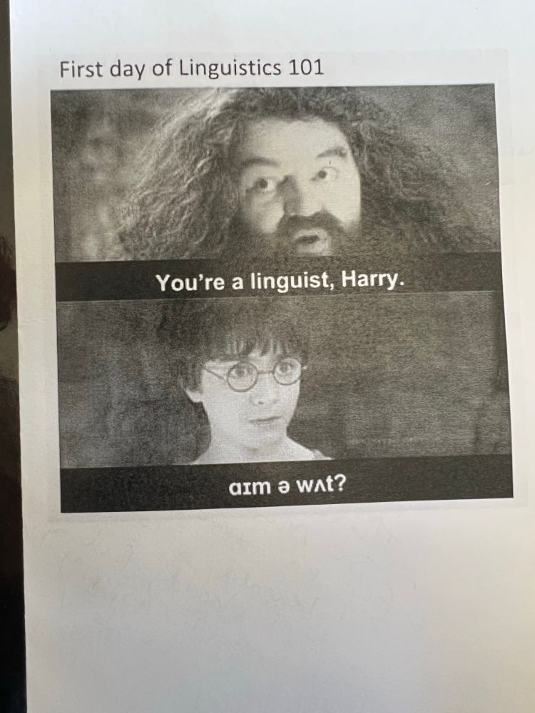 Card that has Hagrid on the top picture saying “You’re a linguist, Harry.” Harry Potter in IPA responds “I’m a what?”