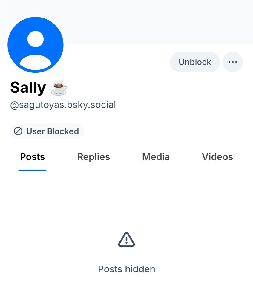 A screenshot of sagutoyas. bsky. social's acc getting blocked 