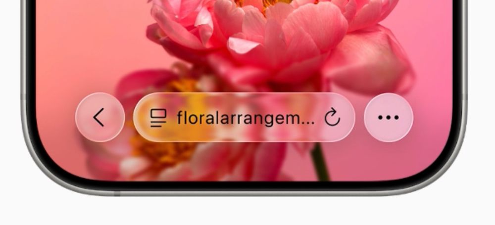 Glassy Safari controls overlaid on a photographic website, also somewhat illegible 