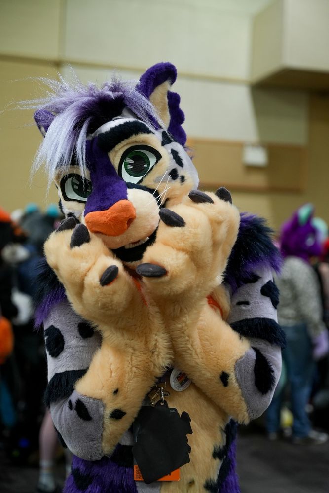 A purple cheetah fursuiter smiling at the camera while holding his head in his paws.