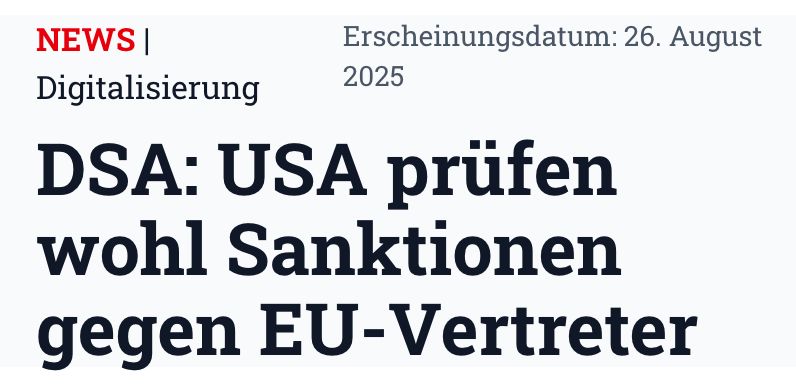 DSA: USA prüfen wohl Sanktionen gegen EU-Vertreter