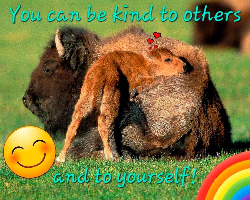 A bison calf snuggles with their mother. Caption reads: "you can be kind to others and to yourself"
