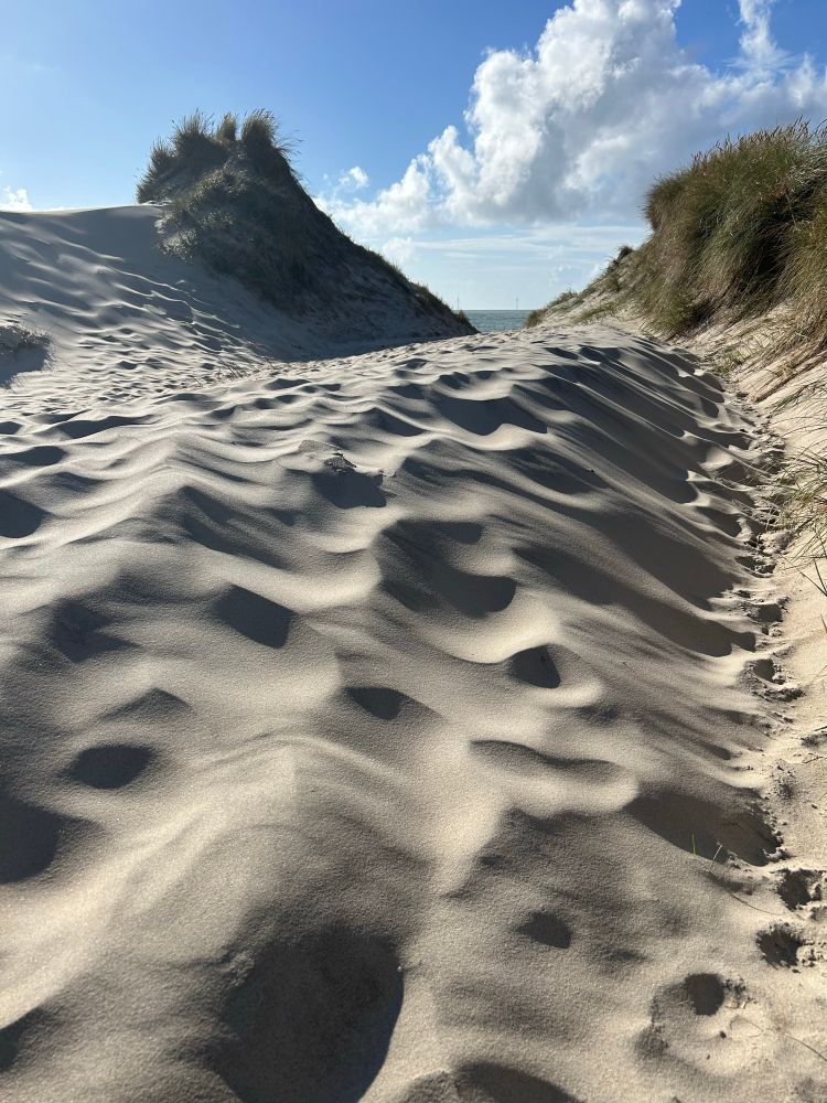 Weg zum Strand zwischen Dünen, vom Boden aus fotografiert, es türmt sich Sand im Vordergrund, vom Wind gemustert, der Himmel ist blau, weiße Wolken 