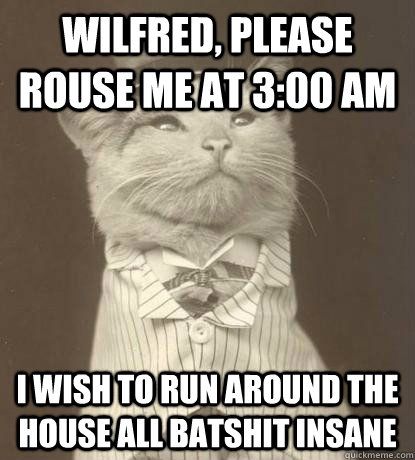 Monochrome photo of a cat in a dress shirt, with the caption, "Wilfred, please rouse me at 3:00 am. I wish to run around the house all batshit insane."
