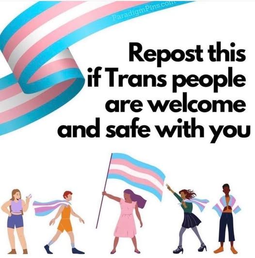 A ribbon with the color of the transgender flag in the upper left corner, above a quintet with varied skin colors and body types, and the words, "Repost this if Trans people are welcome and safe with you."