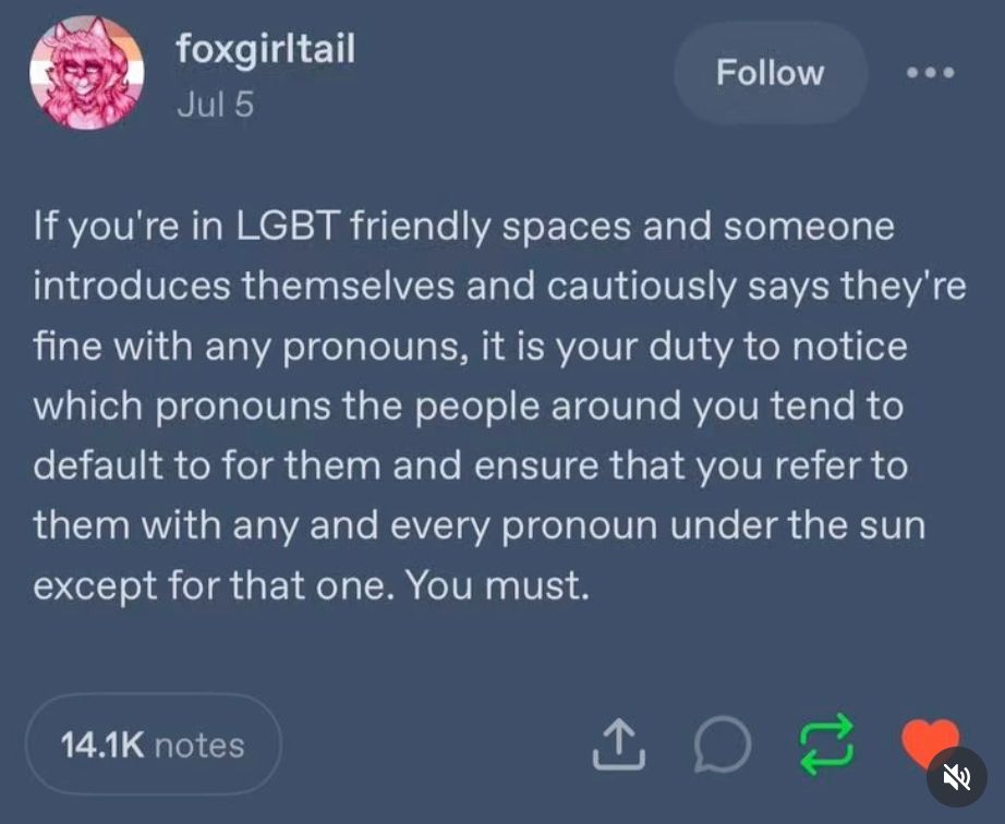 If you're in LGBT friendly spaces and someone introduces themselves and cautiously says they're fine with any pronouns, it is your duty to notice which pronouns the people around you tend to default to for them and ensure that you refer to them with any and every pronoun under the sun except for that one. You must.