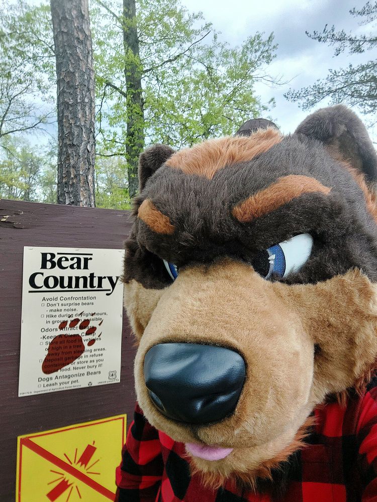 Watch where you're stepping in bear country. Bears poops in the woods. You know that, right? 🌲 🐻 💩 