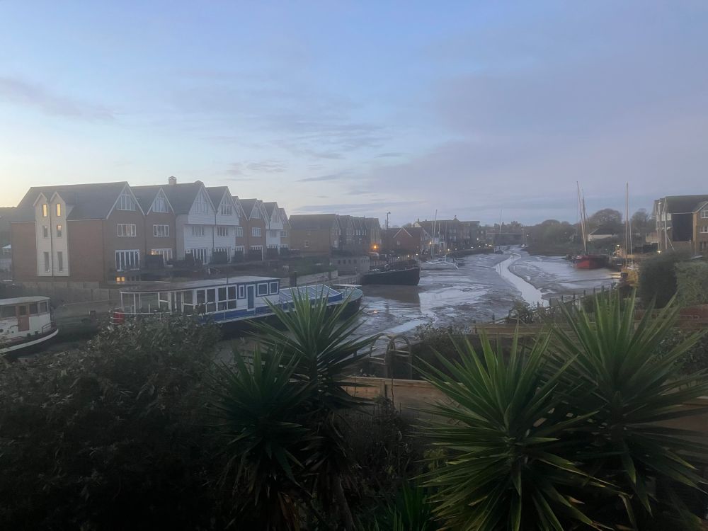 View west with plants, creek, buildings and boats 