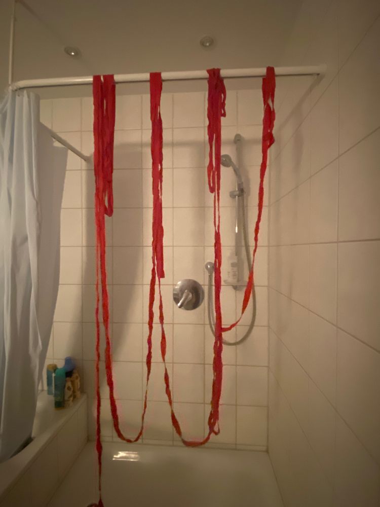 Definitiv keine Innereien trocknen in meiner Dusche